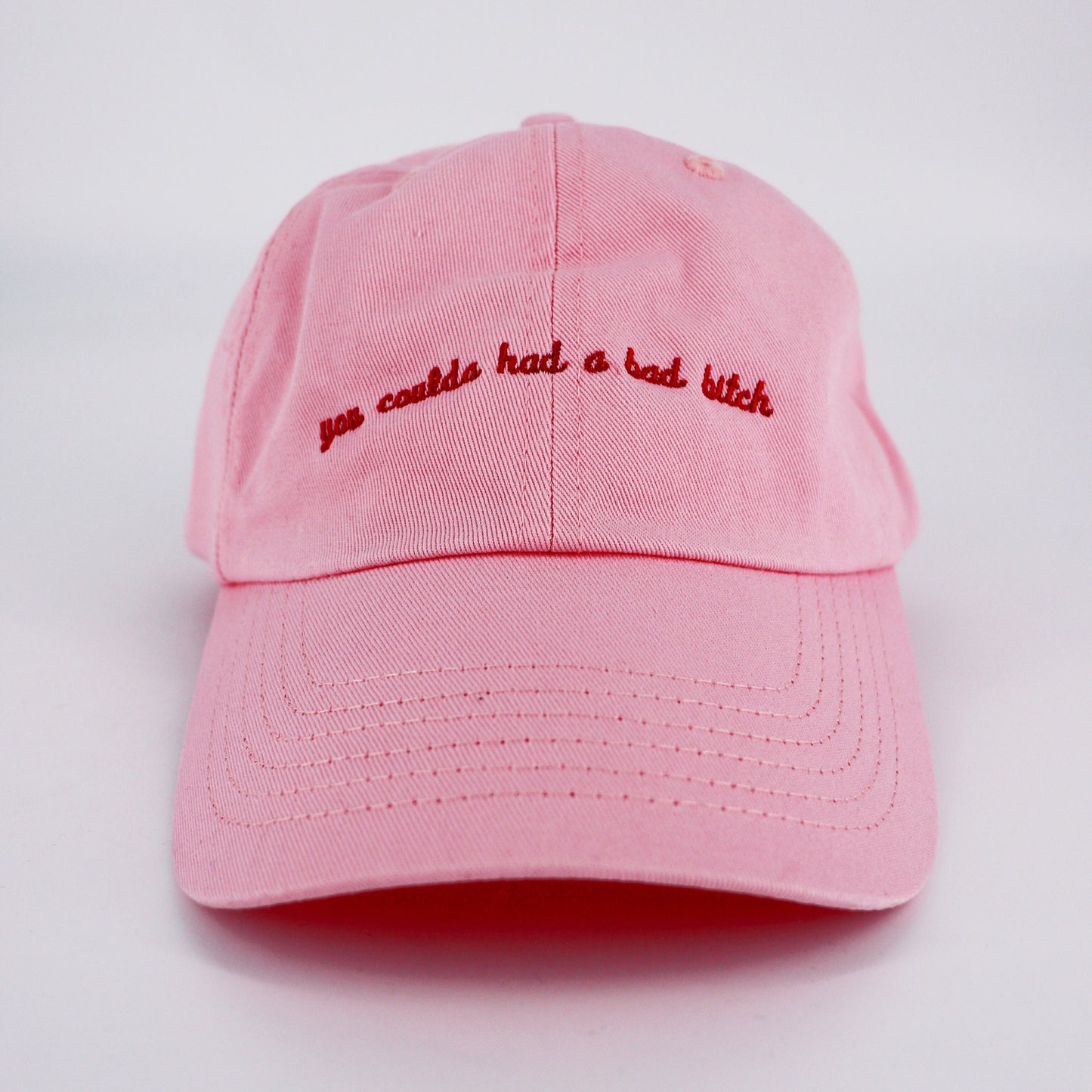 You Coulda Had A Bad Bitch Hat | Lizzo Song Lyrics | Truth Hurts | Pop Star | Custom Color Adjustable Embroidered Dad Hat