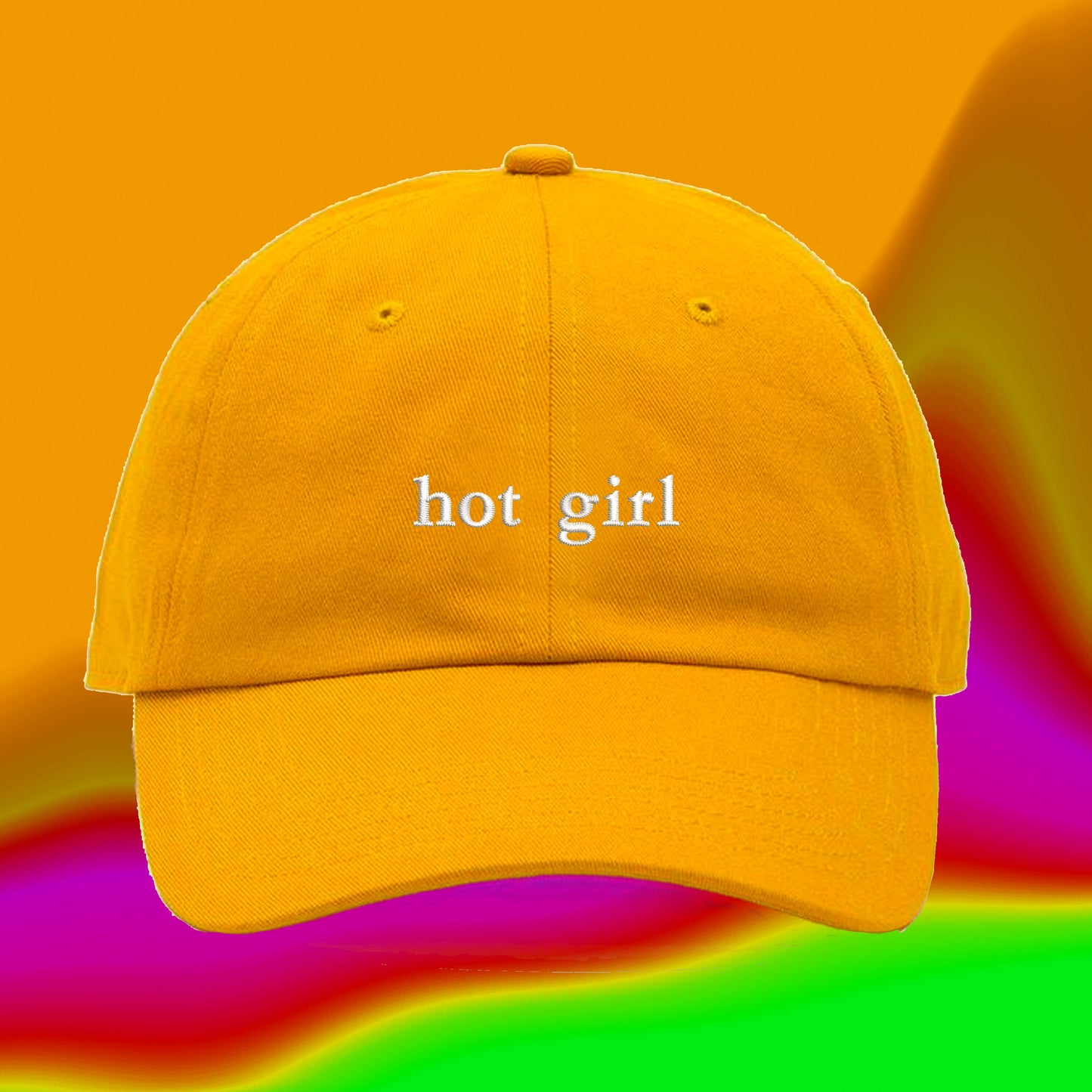 Hot Girl Hat | I Cant Talk Right Now Im Doing Hot Girl Shit| TikTok Clothes | Megan Thee Stallion