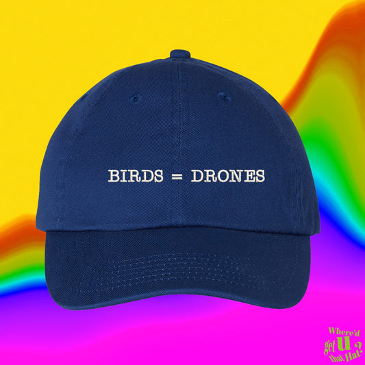 Birds = Drones Hat | Birds WTF | Conspiracy Theory |  No Government | Custom Color Adjustable Embroidered Dad Hat